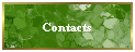 Contacts