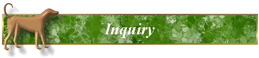 Inquiry